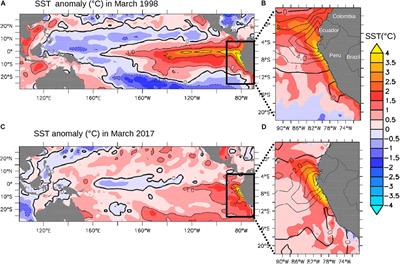 Forcings and Evolution of the 2017 Coastal El Niño Off Northern Peru and Ecuador